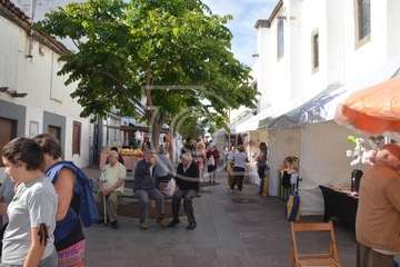 Día grande de las fiestas de Los Llanos 2018 (Foto Antonio Alí/Francisco Javier Santana, Jesús Ruiz y TA)